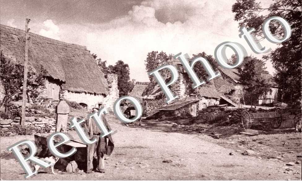 Fermes au toit de chaume  en 1956