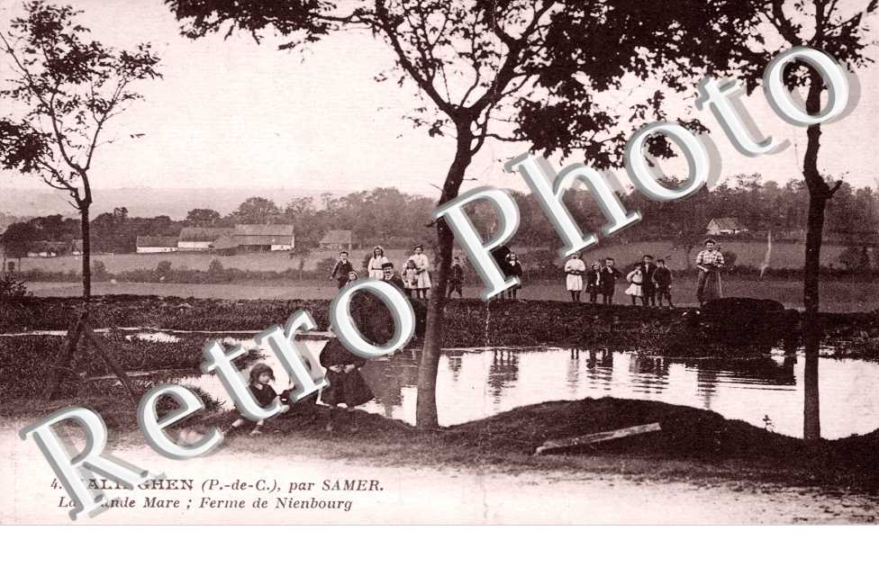 par Samer - La grande mare - Ferme de Nienbourg - carte anim
