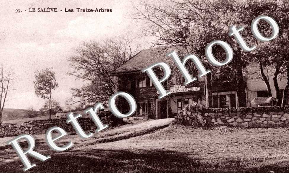 le salece Les Treize-Arbres