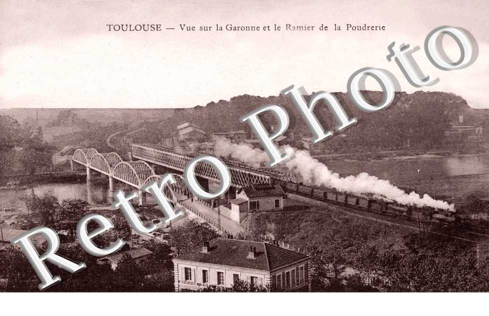 Vue sur la Garonne et le Ramier de la Poudrerie