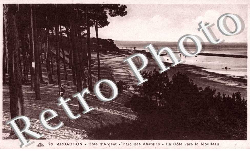 La cote vers le Moulleau  Parc des Abatilles