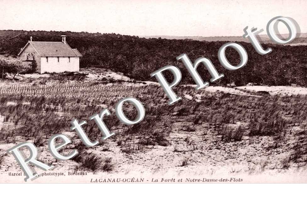 la foret et NotrDame-des-Flots