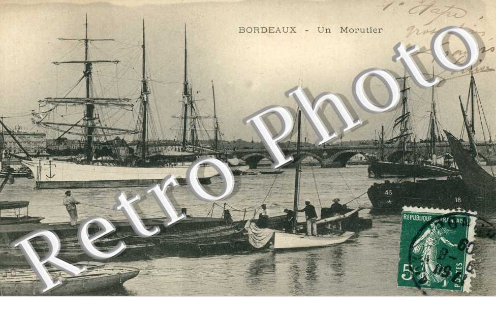 Un Morutier