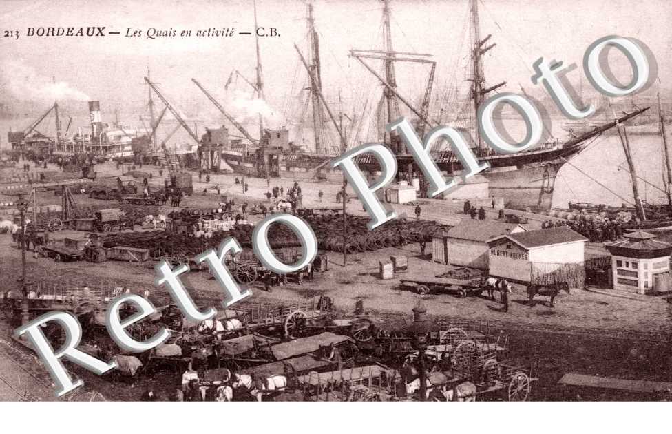Les Quais en activite - tonneaux