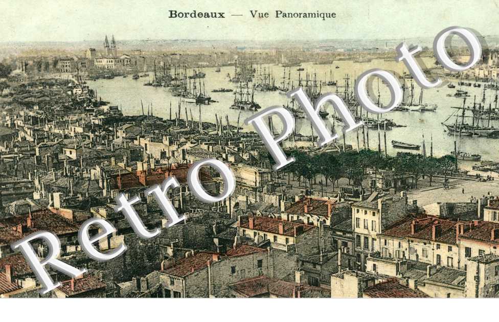 Vue Panoramique