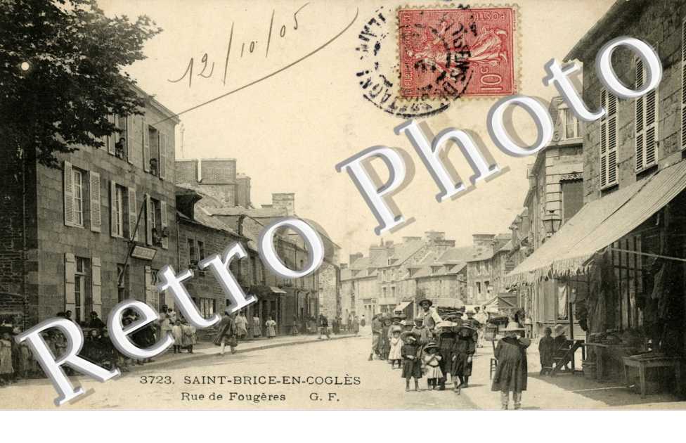 Rue de fougeres