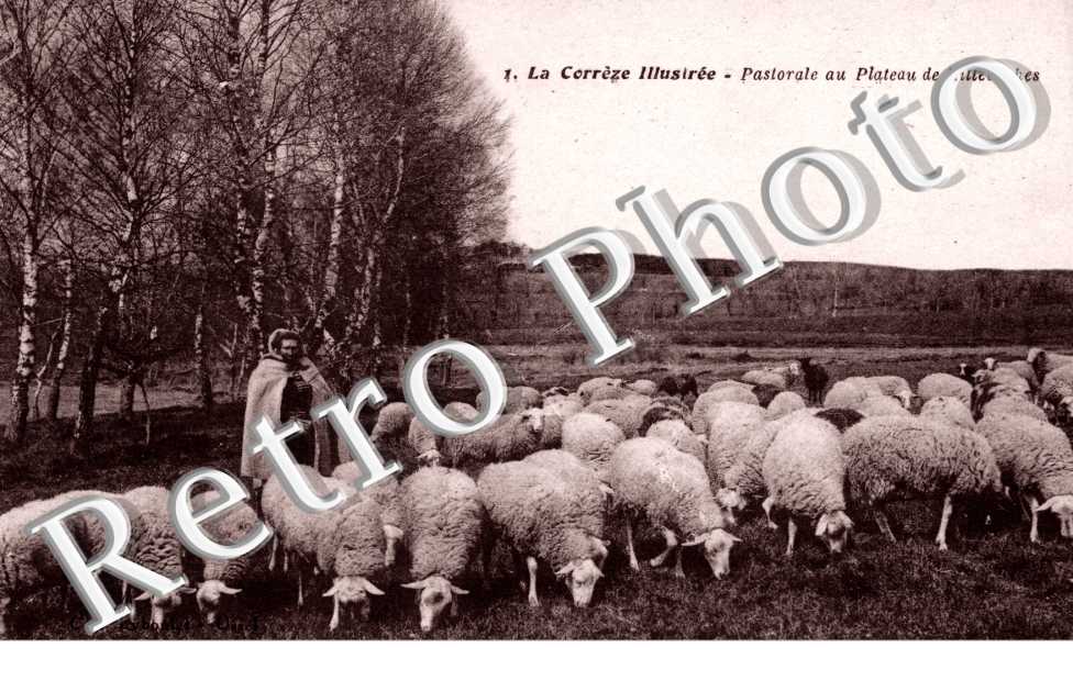 pastorale au plateau de millevaches