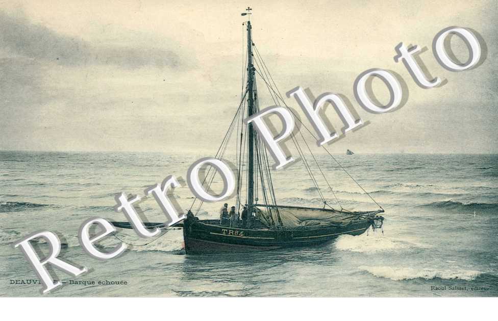 Barque hou