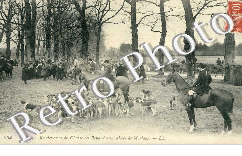 Rendez vous de chasse au renard aux Allees de Morlaas