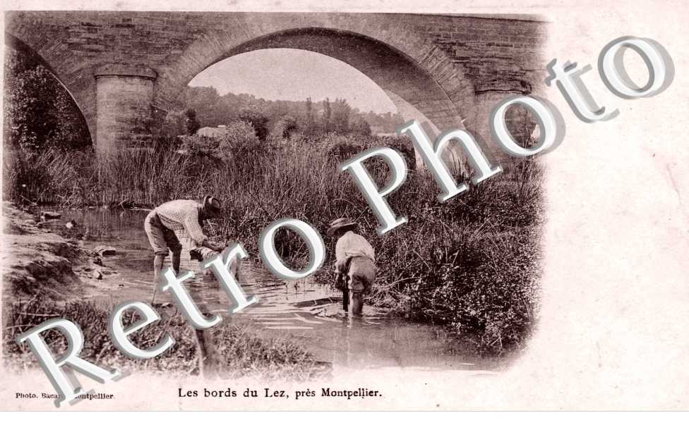 les Bords du Lez