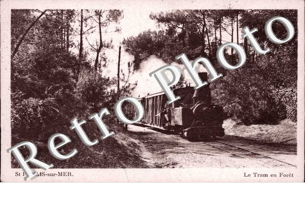 le Tram en Foret