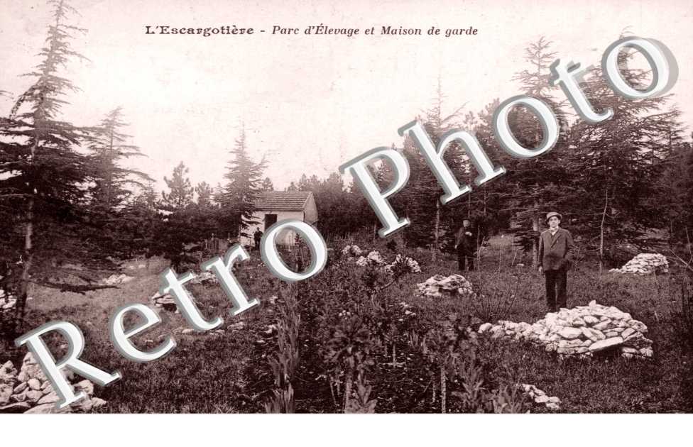 l&#039;escargotiere Parc d&#039;elevage et maison de garde