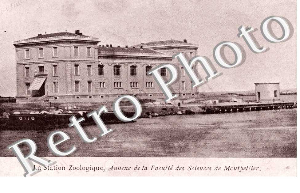 La Station Zoologique Annexe de la faculte des sciences