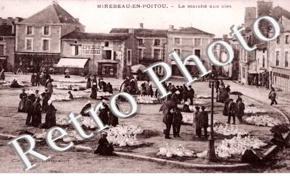 le marche aux oies