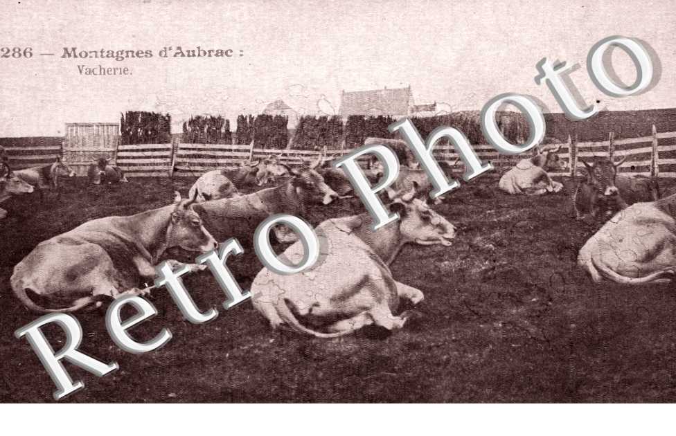 Montagnes d&#039;Aubrac