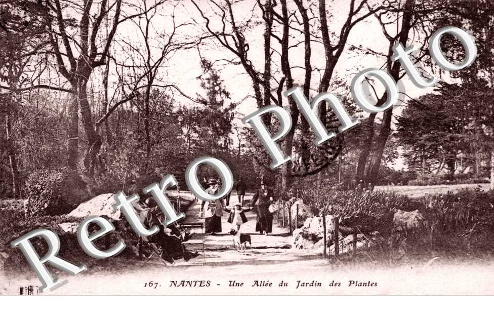 Une Allèe du Jardin des Plantes