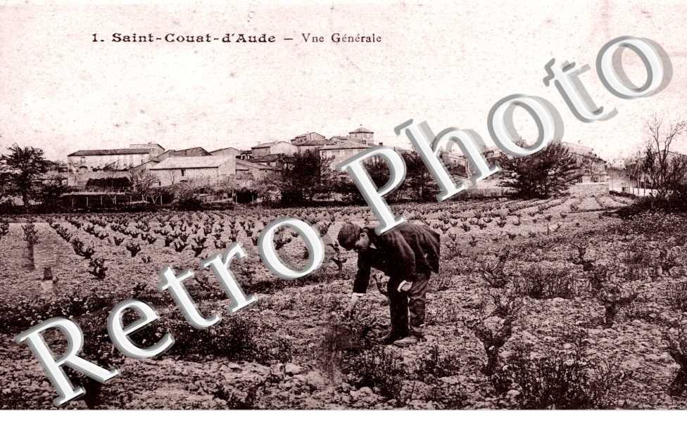 Vue generale