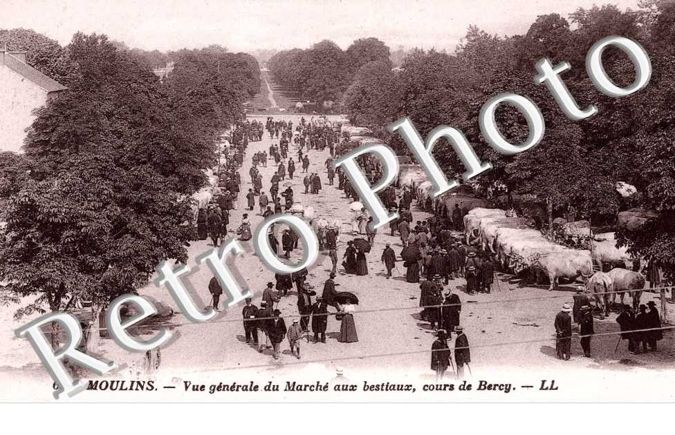 VUE GENERALE DU MARCHE AUX BESTIAUX