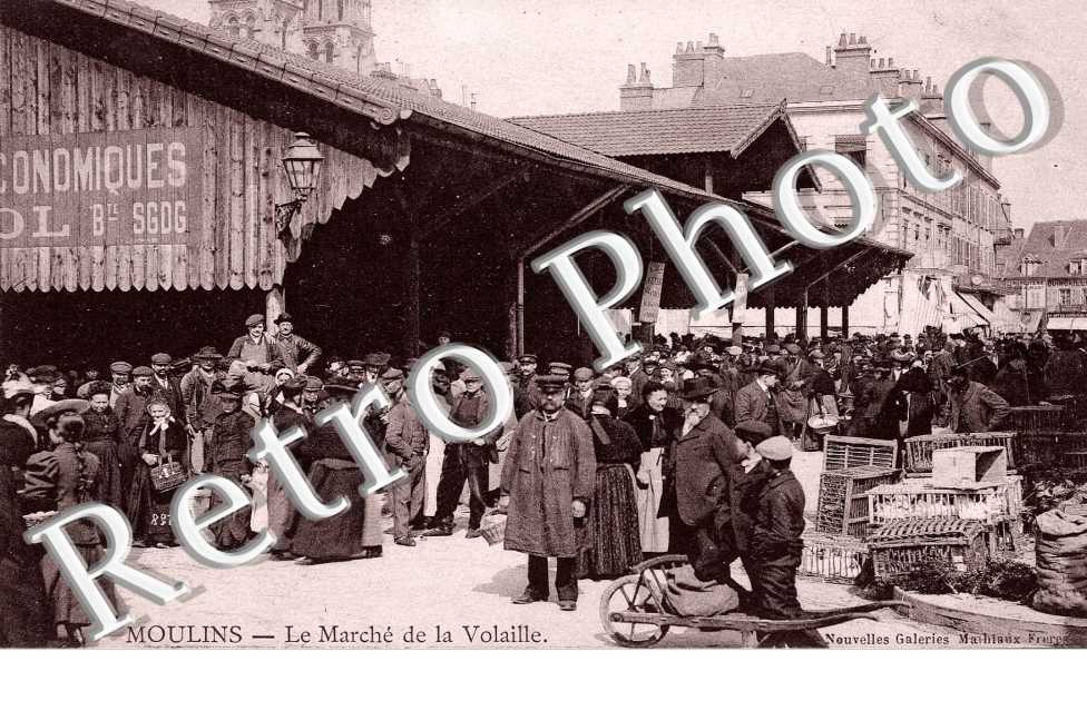 LE MARCHE DE LA VOLAILLE