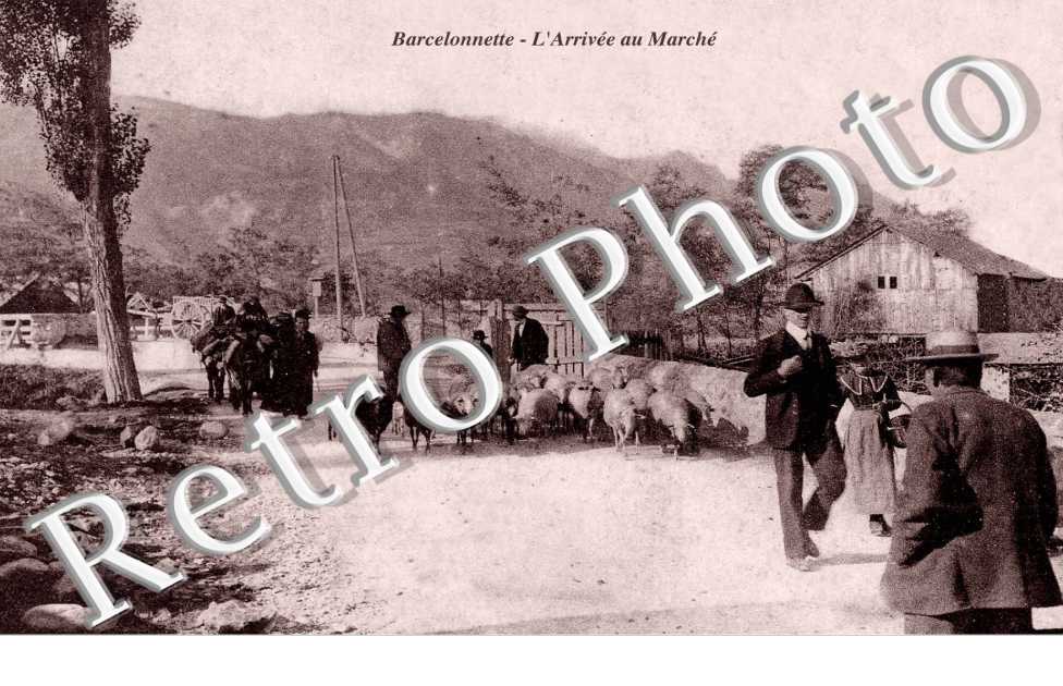 l&#039;arrivee au marche