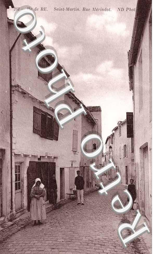 rue merindot