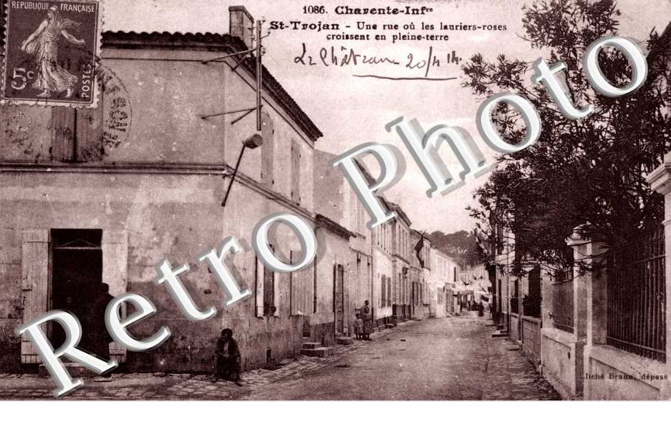 une rue ou les lauriers-roses croissent en pleine terre