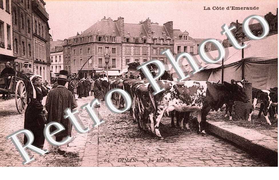 Au marché - vaches