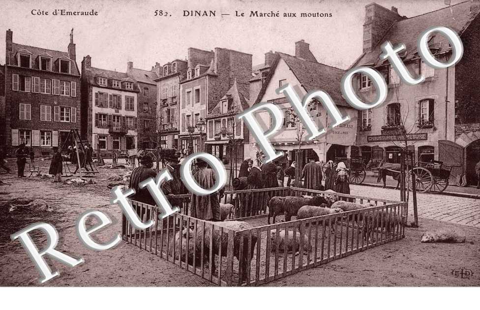 marche aux moutons