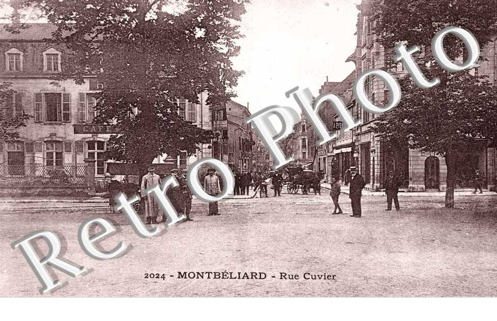 rue Cuvier