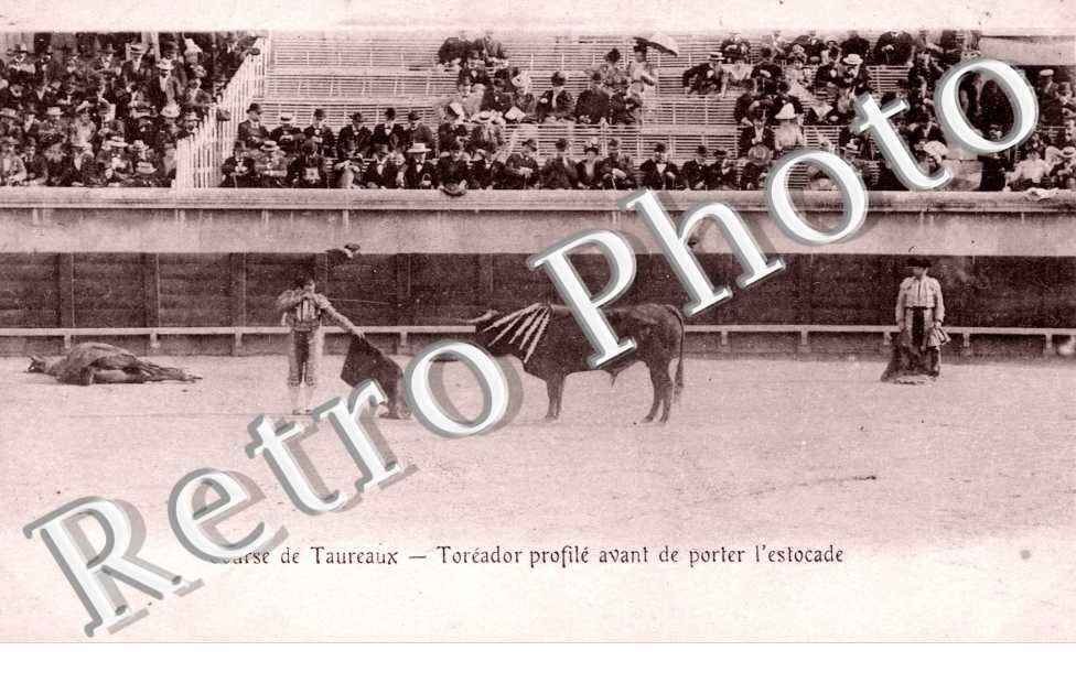 Courses de Taureaux - Toreador Profile avant de porter l'estocade