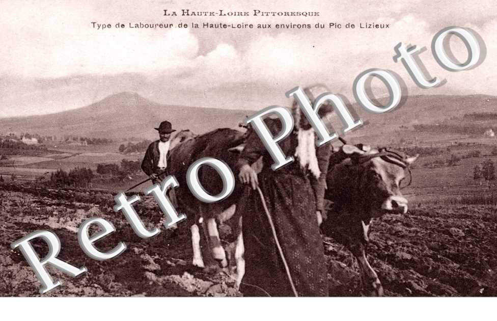 Type de Laboureur aux environs du Pic de Lizieux