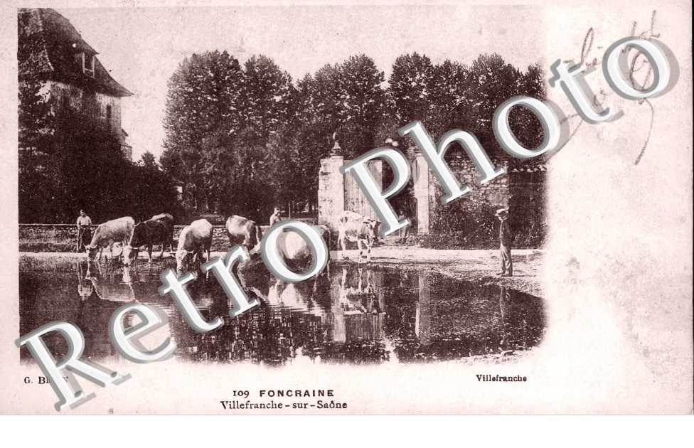 Foncraine