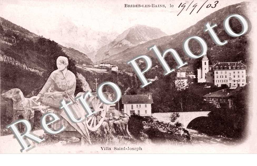 Villa Saint Joseph  Attelage de chien