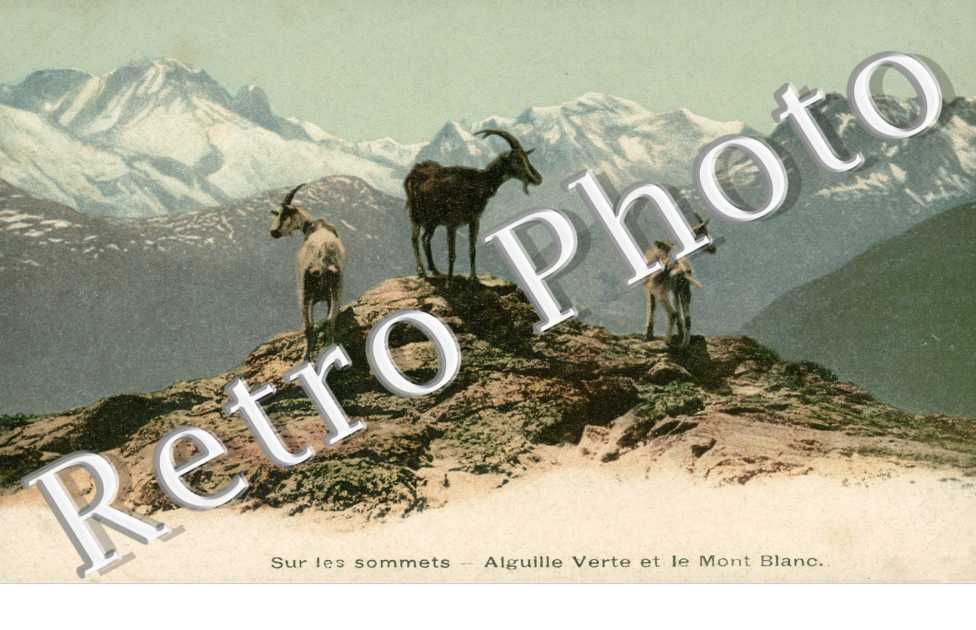 Aiguille verte et le Mont Blanc