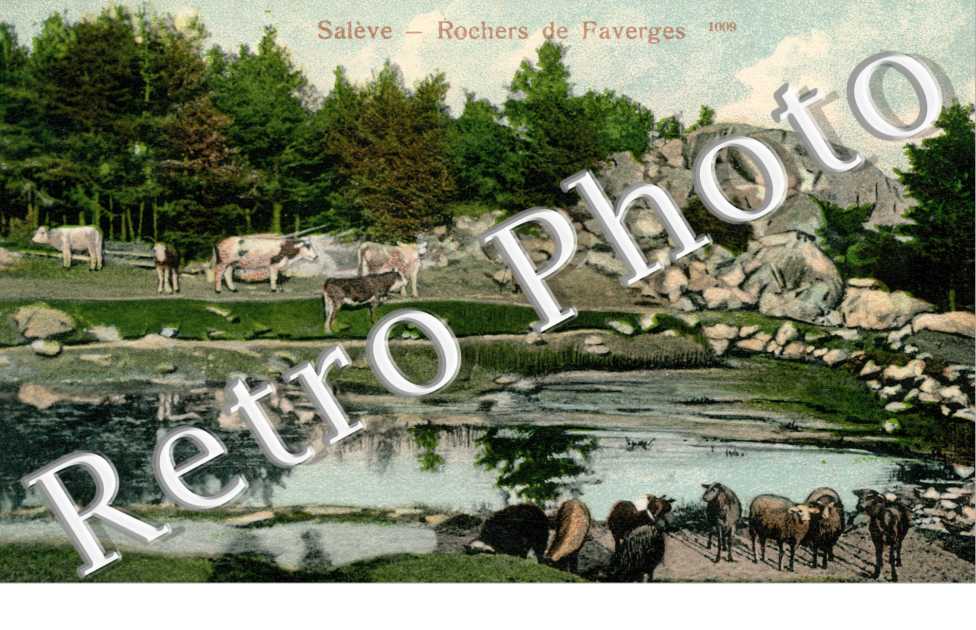Saleve - Rochers de Faverge