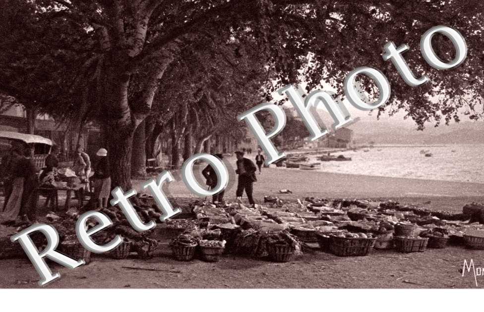 Un coin du Marche l&#039;ete