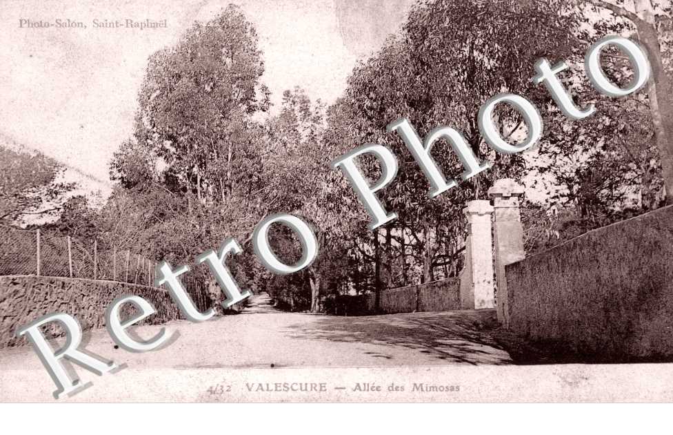 Valescure - Allee des Mimosas
