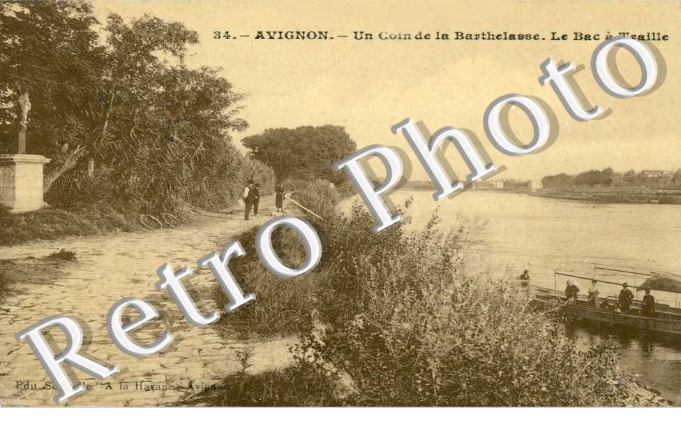 Un coin de Barthelasse - Le Bac a Traille