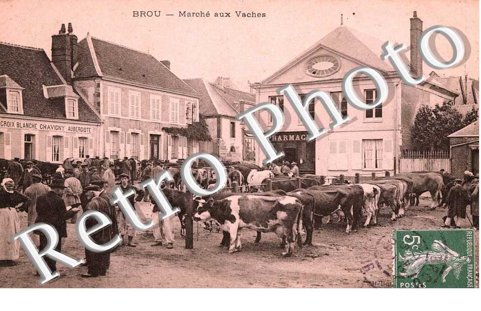 MARCHE AUX VACHES