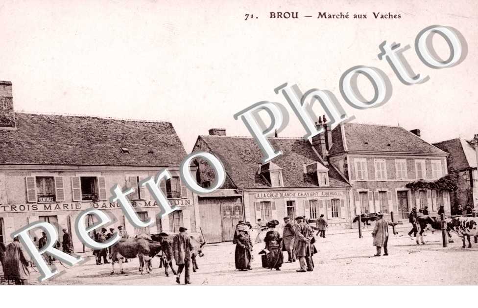 marche aux vaches