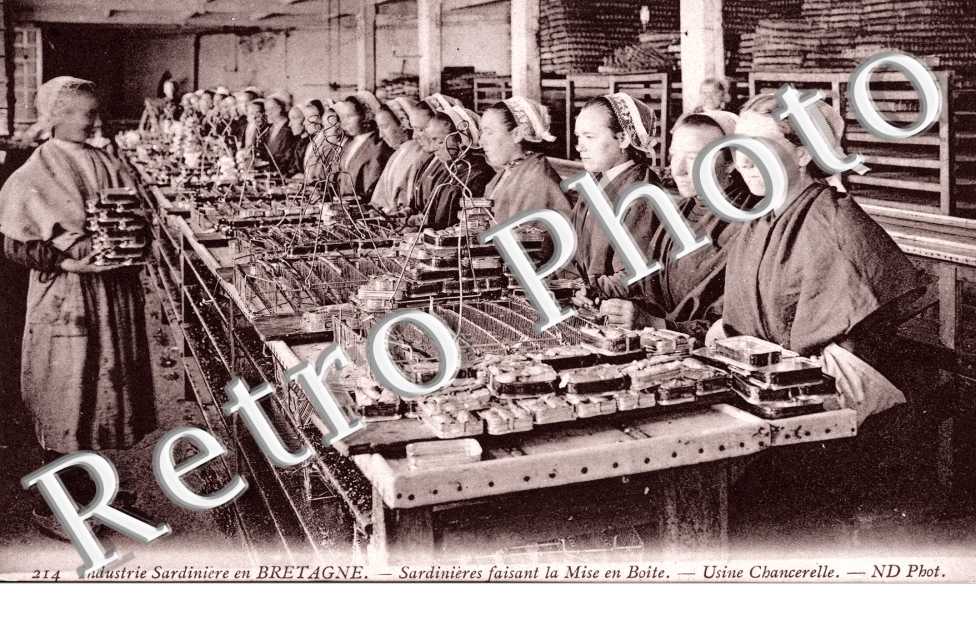 industrie sardiniere, sardinieres faisant la mise en boite, usine chancerelle
