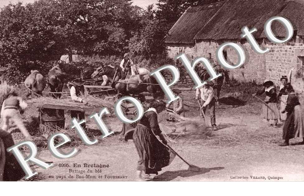 battage du ble au pays de Beg Meil