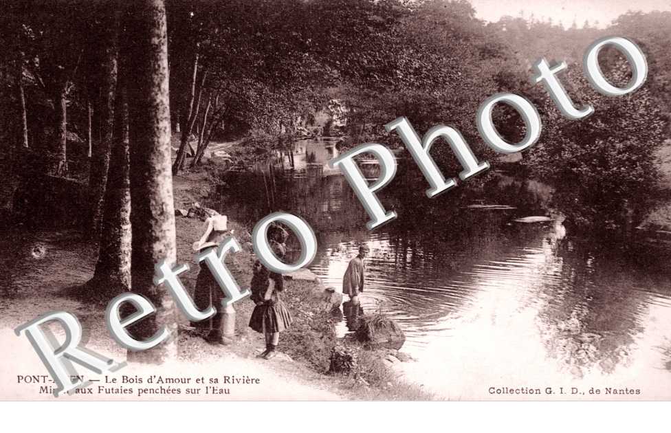 le Bois d&#039;Amour et sa Riviere, Miroir aux Futaies penchees sur l&#039;eau