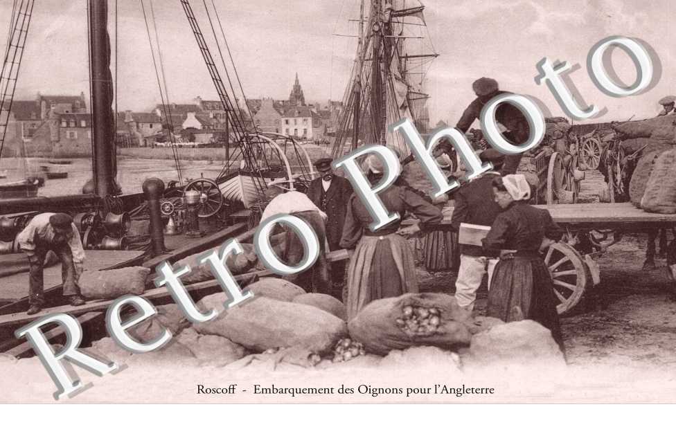 EMBARQUEMENT DES OIGNONS 
