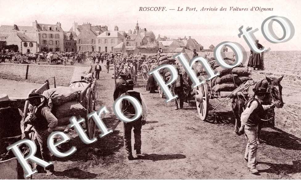 Le Port - l&#039;Arrivée des Voitures d&#039;Oignons