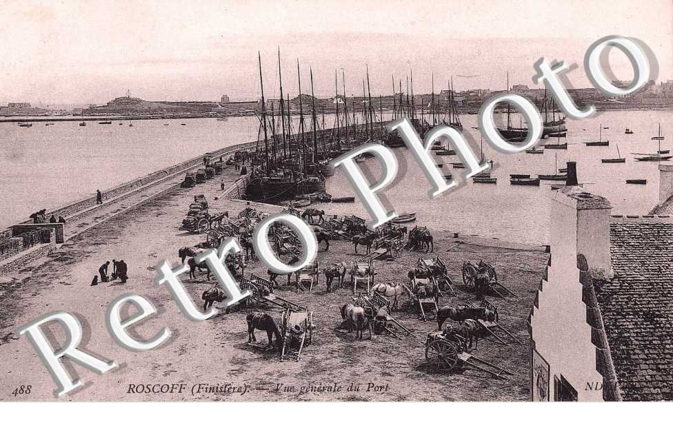 Vue Générale du Port