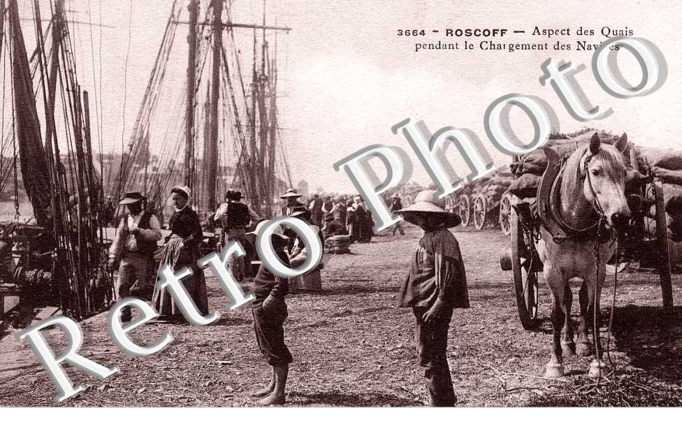 Aspect des Quais pendant le chargement des navires