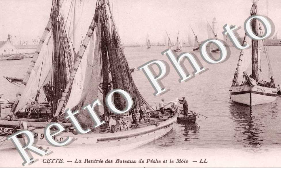 Bateaux de peche et le mole