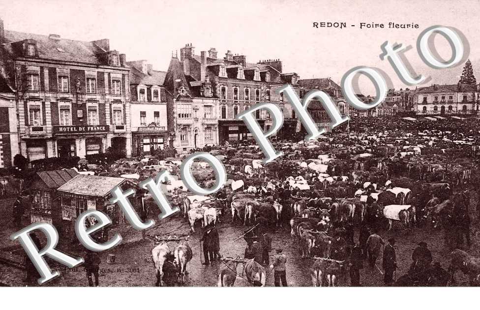 foire fleurie