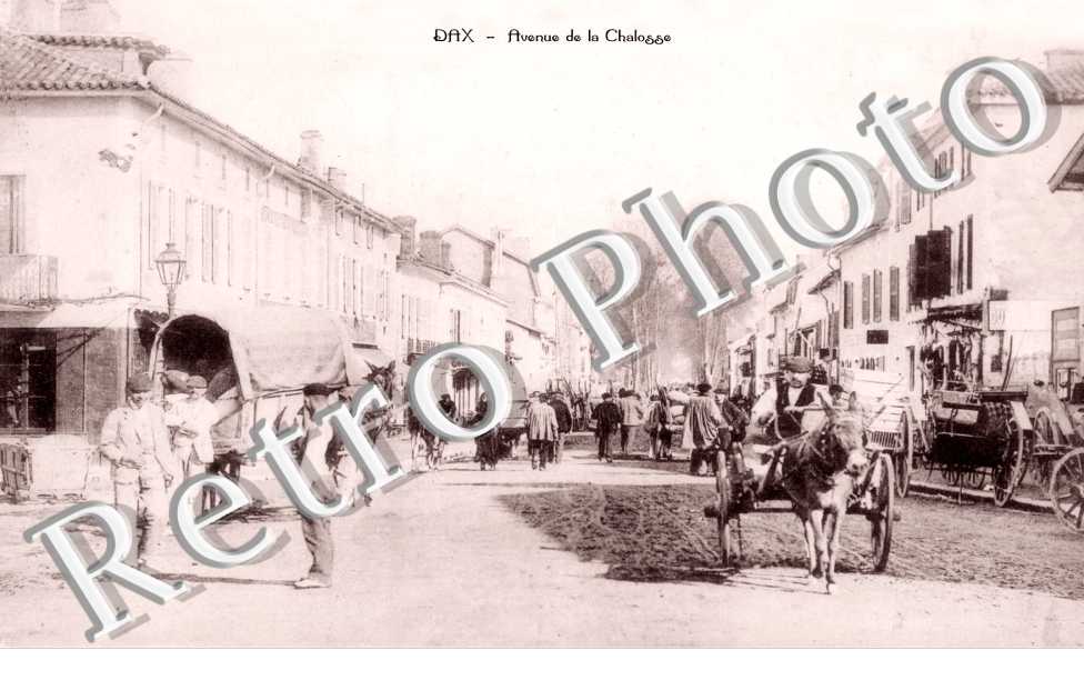 AVENUE DE LA CHALOSSE